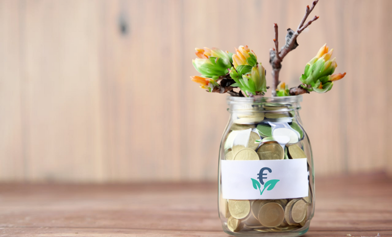 Žaliųjų finansų konsultacijos: GREEN ASSIST programa