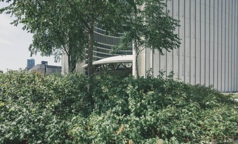 Europos priežiūros institucijos žinia fondų valdytojams: nuo šiol ESG ir tvarumo terminus reikės...