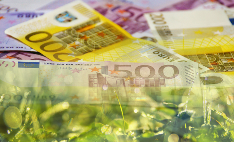 Į tvarumą orientuotos investicijos, paskolos, draudimas ar pensijos - ką turite žinoti?